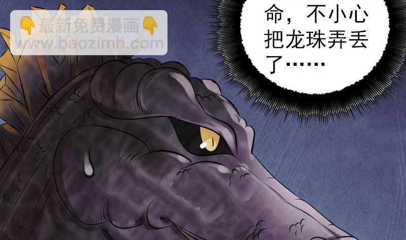 第208话 丢失龙珠10