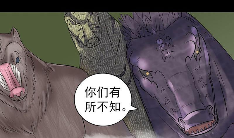 第208话 丢失龙珠79