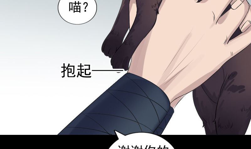 第212话 买车风波73