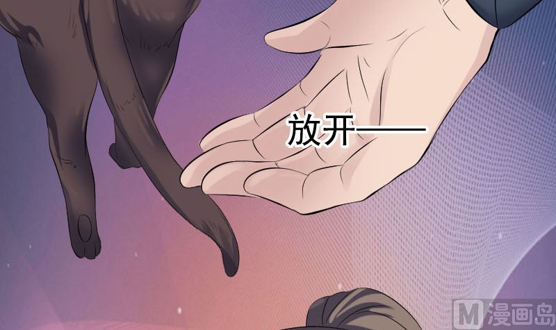 第212话 买车风波78