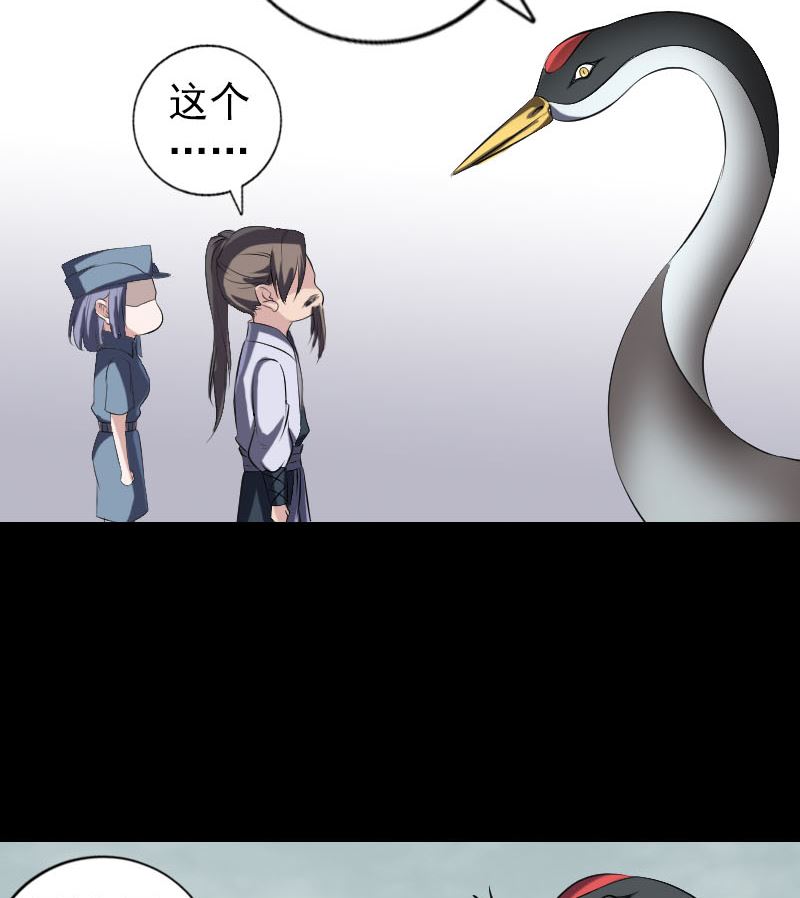 第221话 道宗仙鹤108