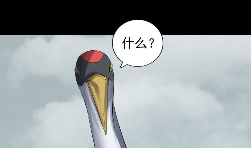 第221话 道宗仙鹤117