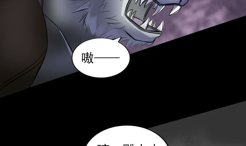 第252话 挑衅117