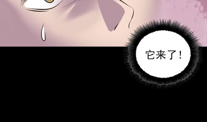 第296话 龙涎果树88