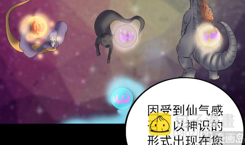 第302话 再回酆都14