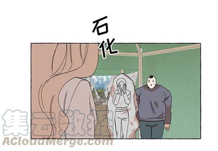 523