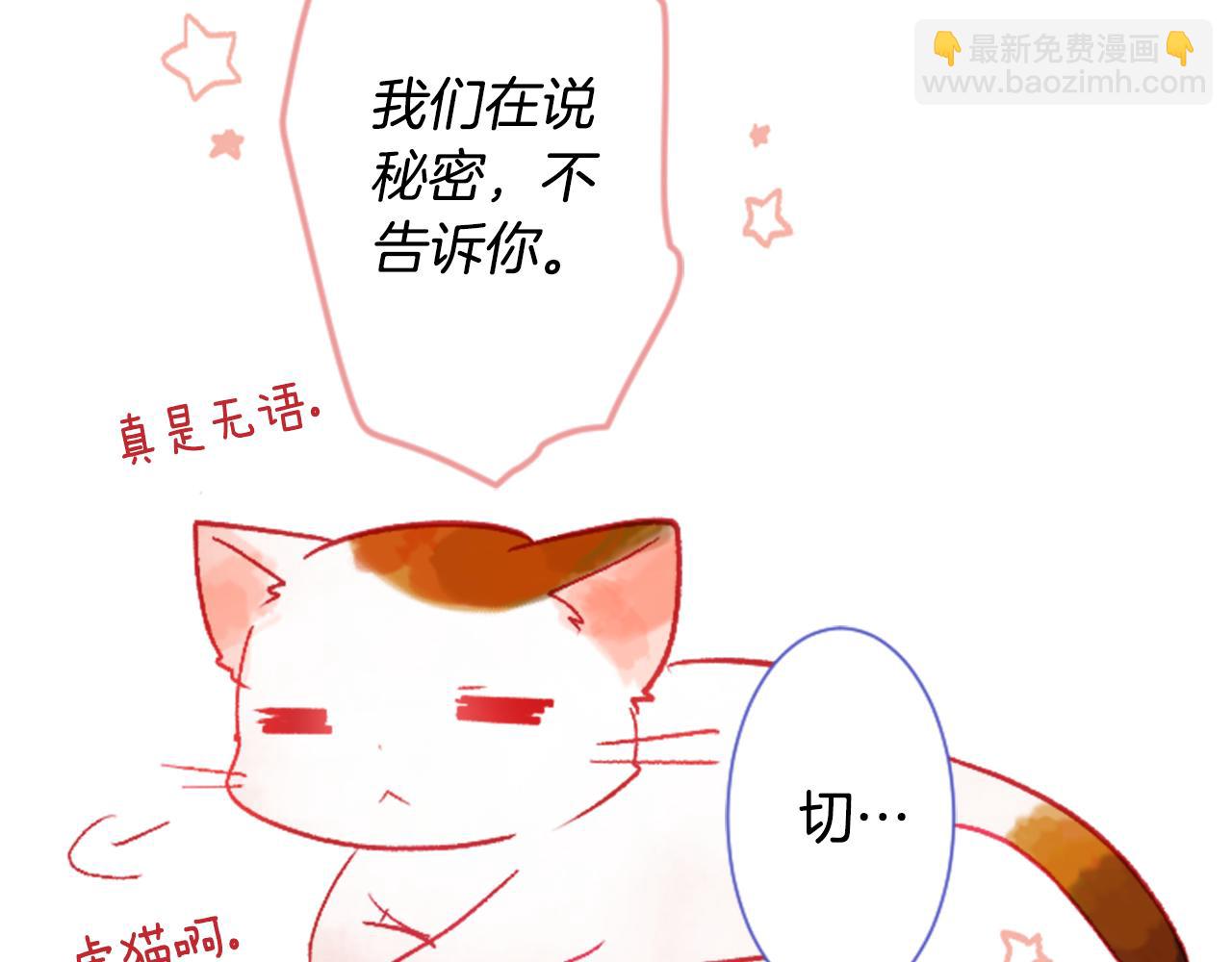 第26话 凯蒂爱丽丝的小巷迷宫138