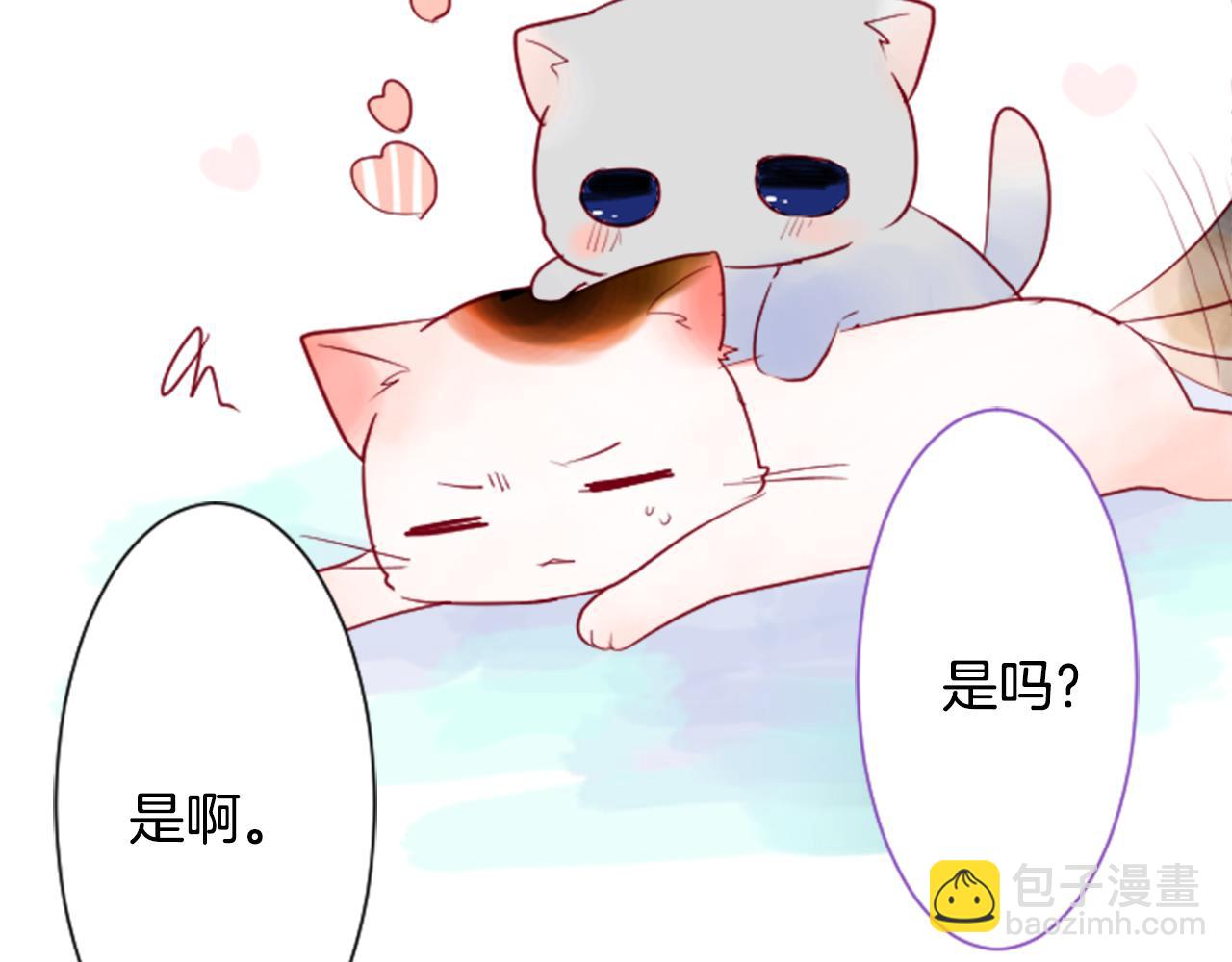 第28话 杂物散弹枪127