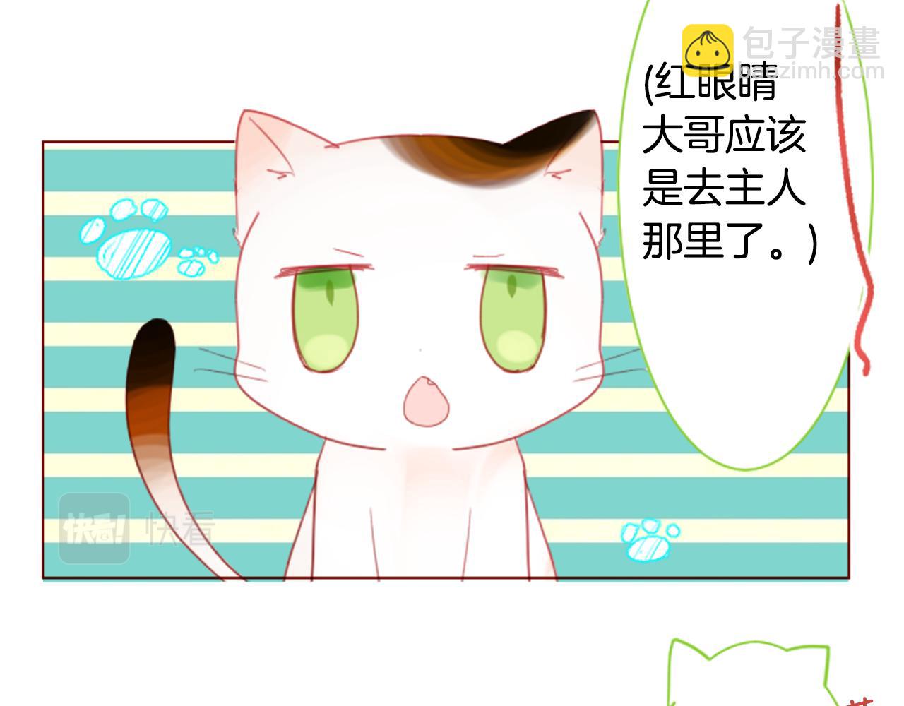第34话 魔法师和恶魔猫221