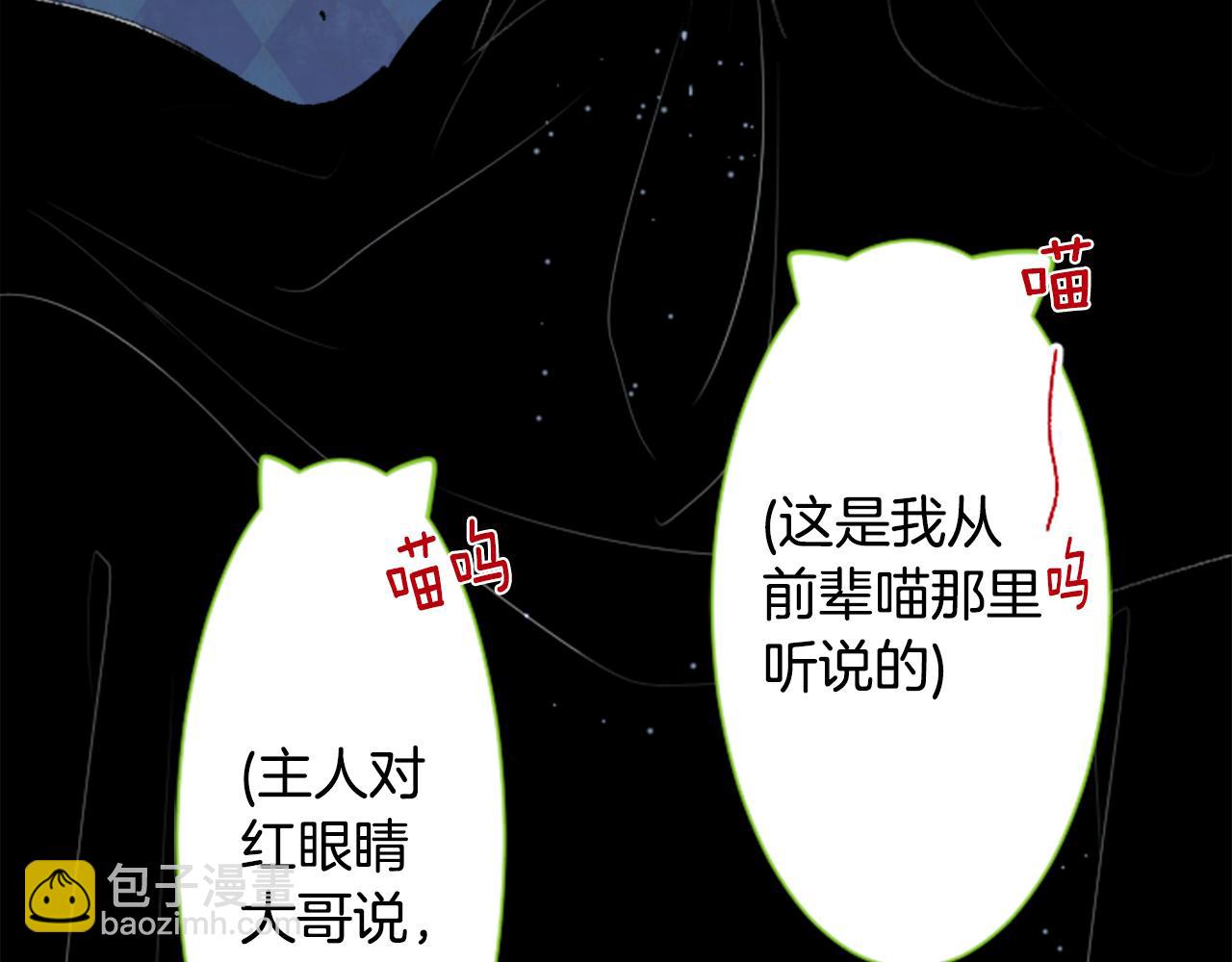 第34话 魔法师和恶魔猫290