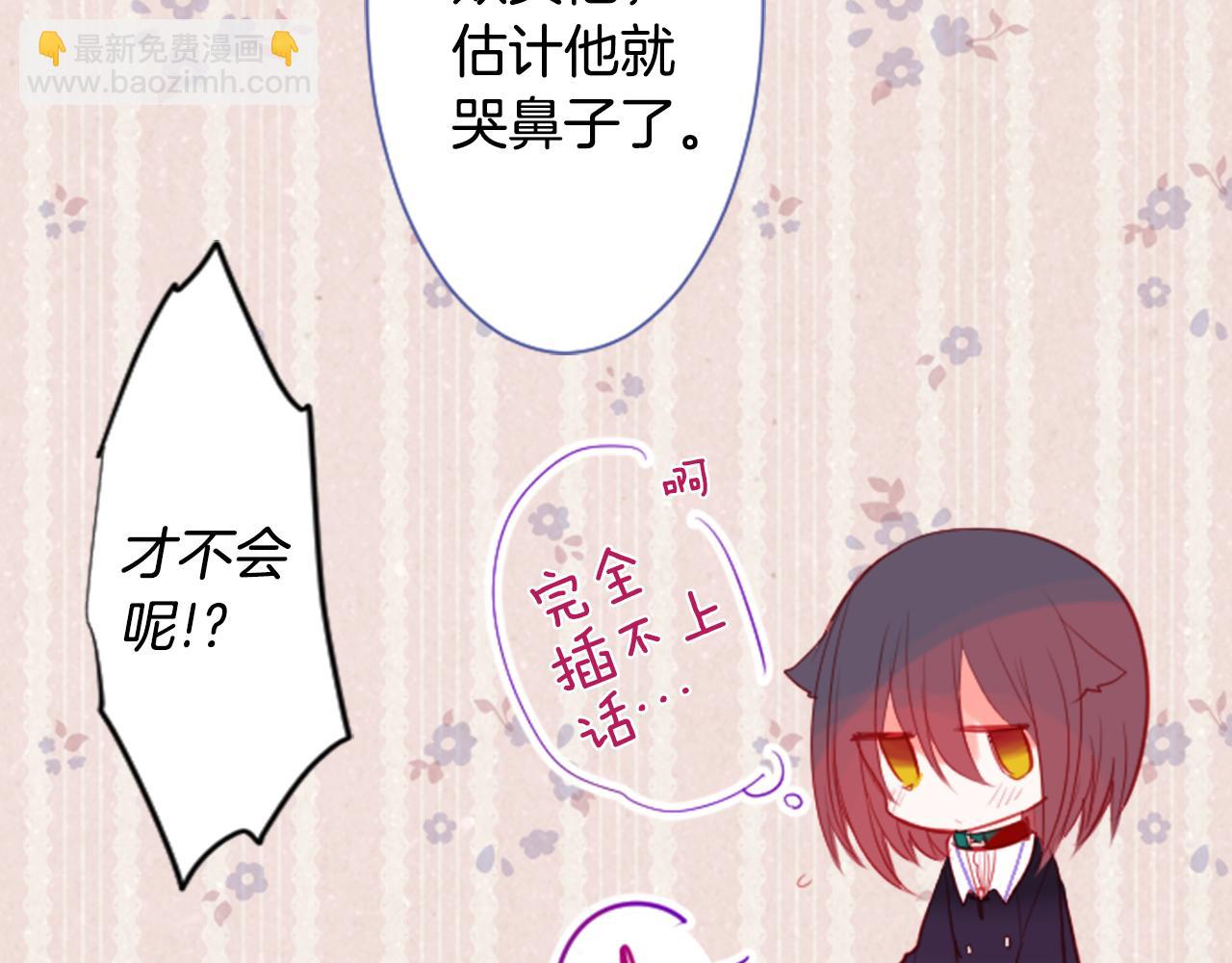 第35话 魔法师和恶魔猫327