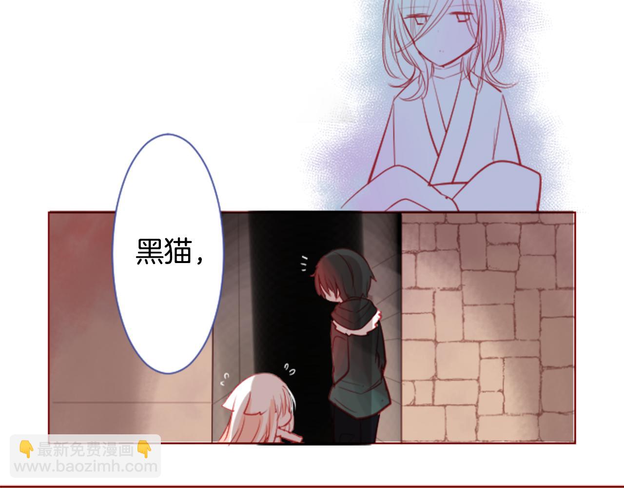第35话 魔法师和恶魔猫347