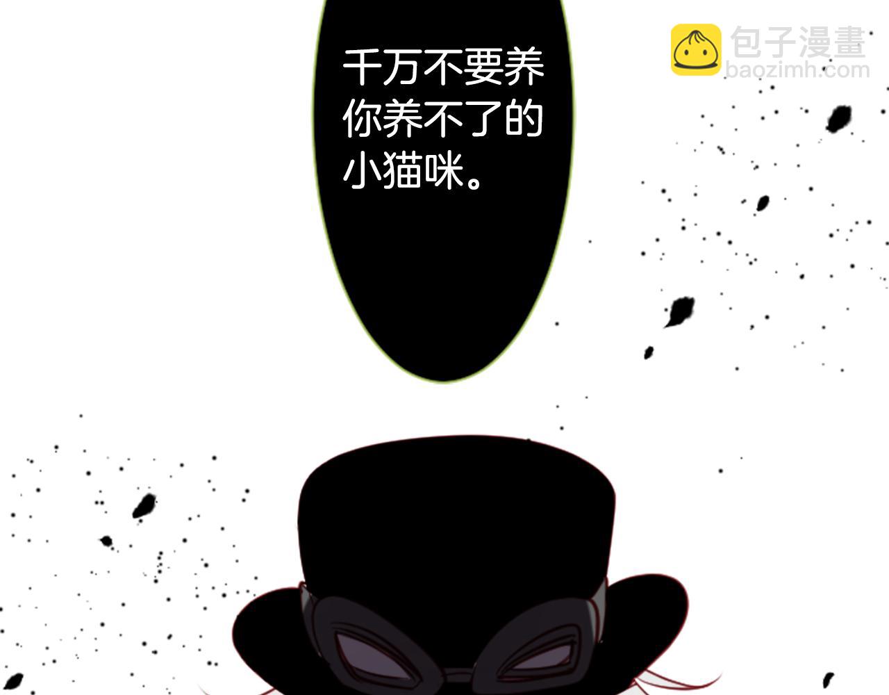 第41话 养不了的猫咪75