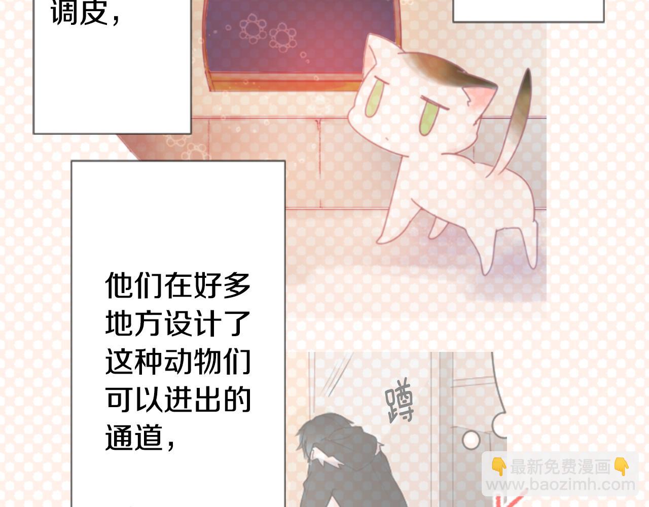 第76话 上午8点的小王子268
