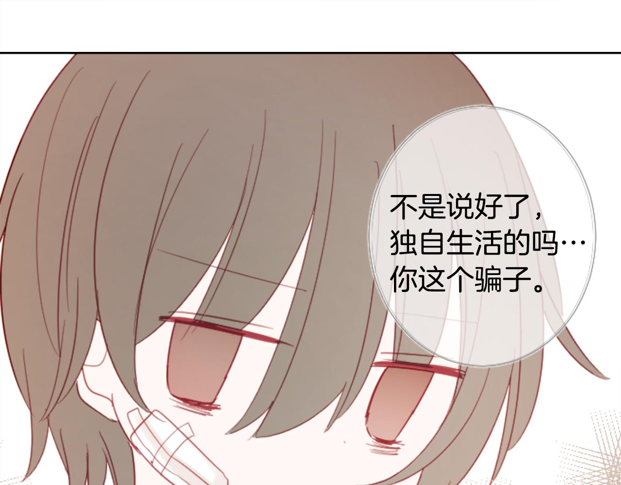 第79话 上午9点的神秘箱子241