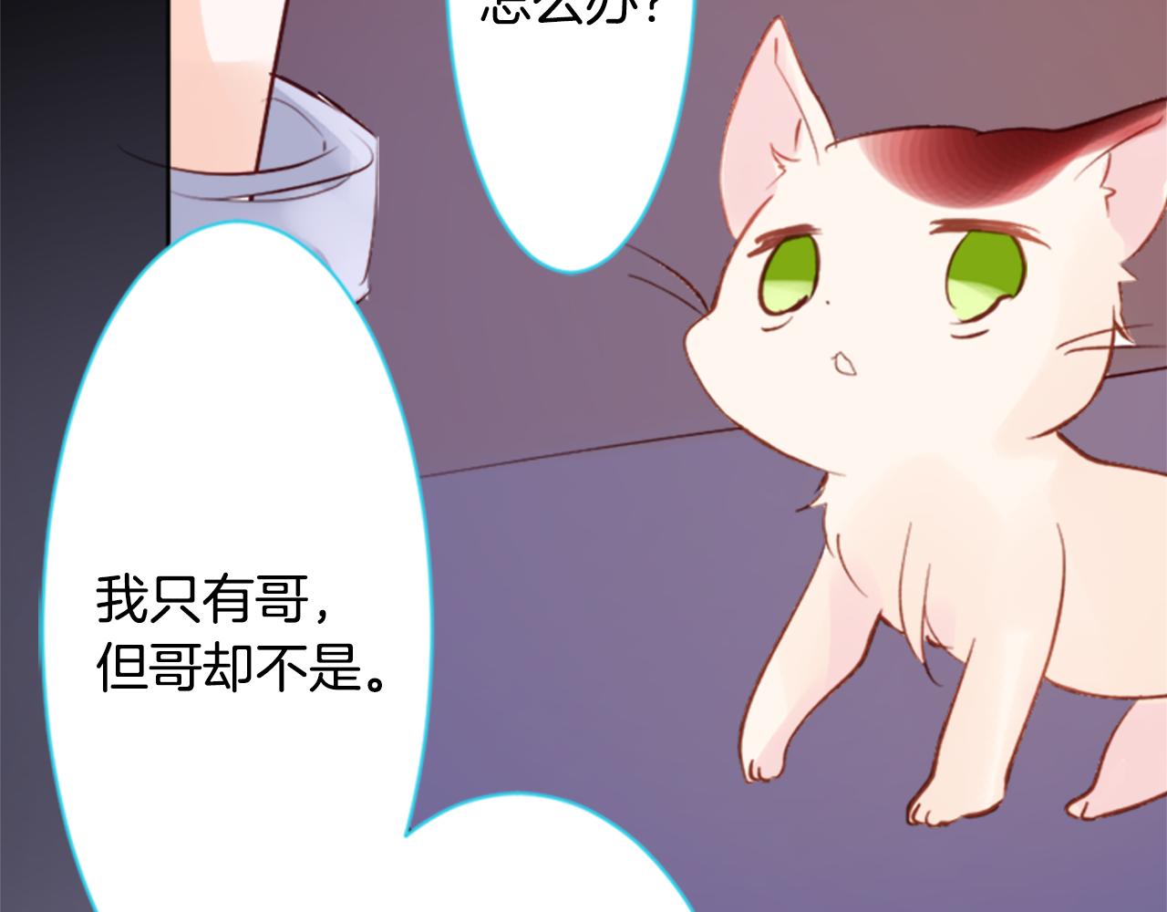 第164话 不可以睡着 ，星光游行57