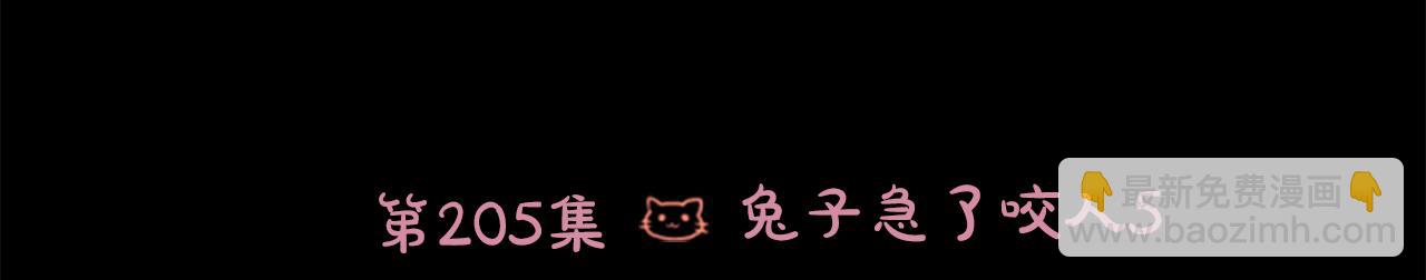 第205话 兔子急了咬人516