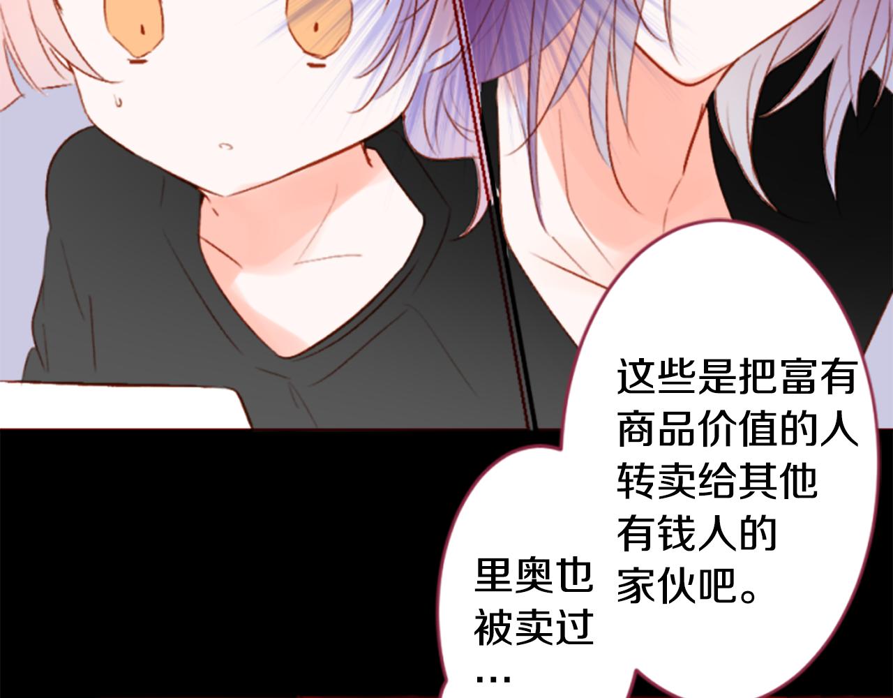 第205话 兔子急了咬人529