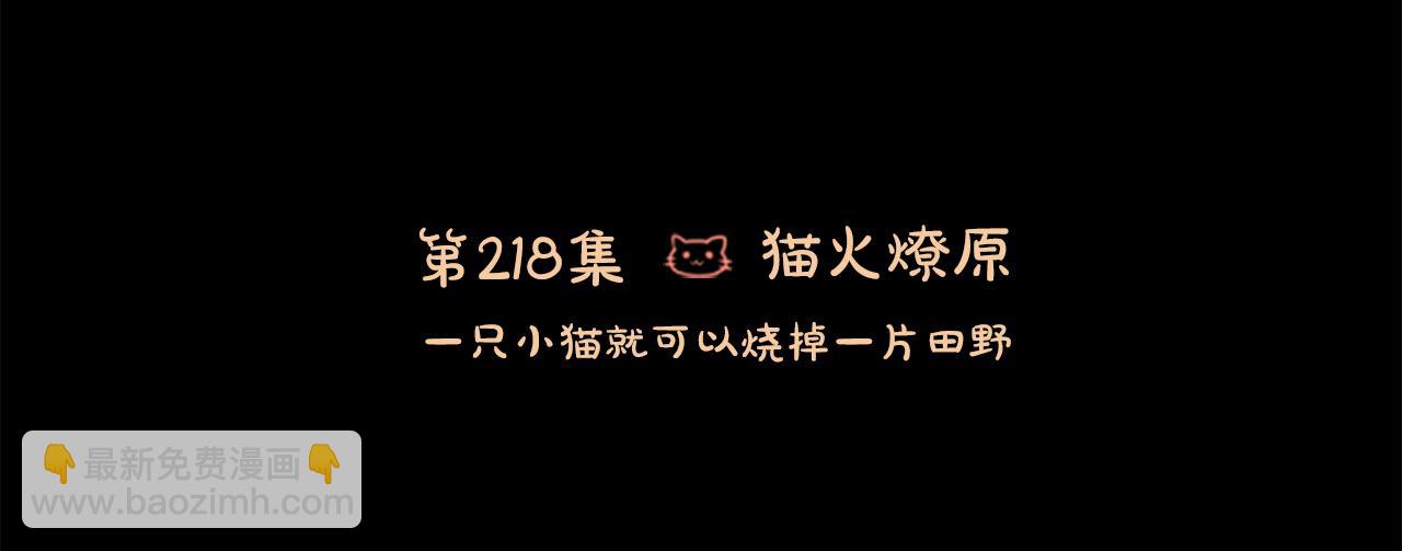 第218话 猫火燎原2