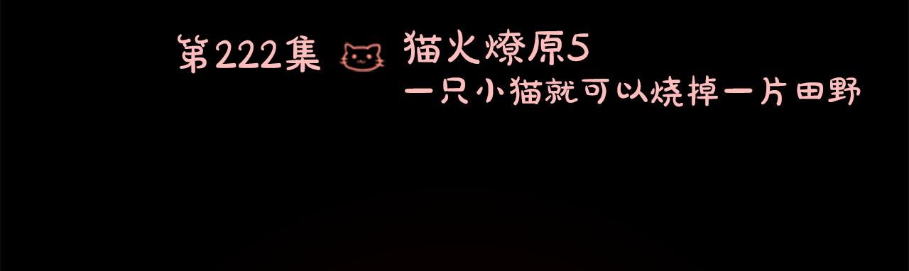 第222话 猫火燎原517