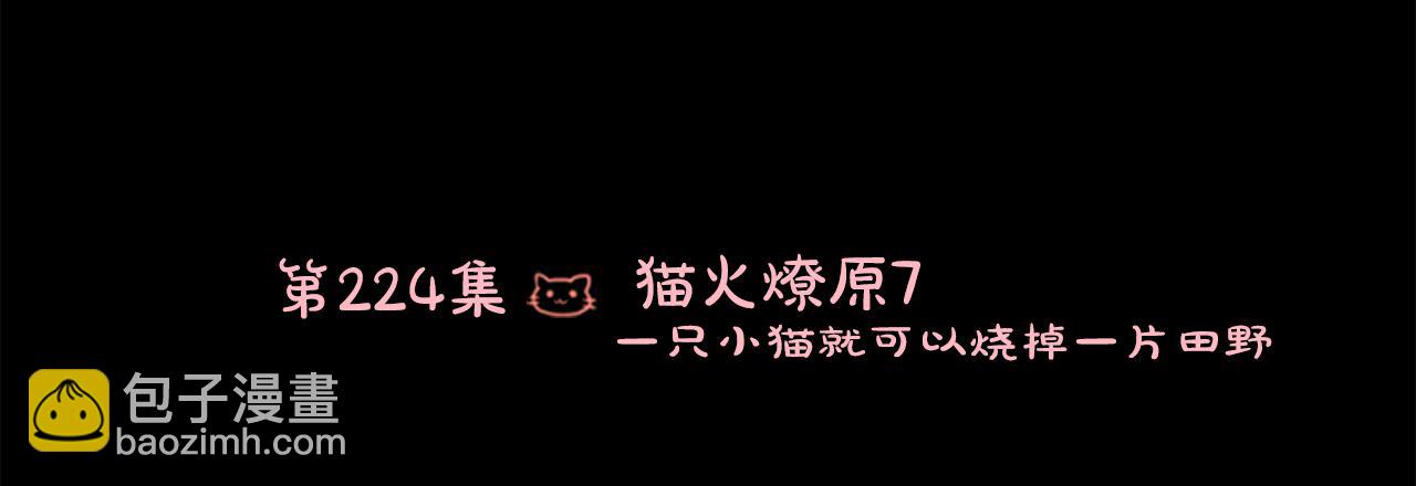 第224话 猫火燎原712