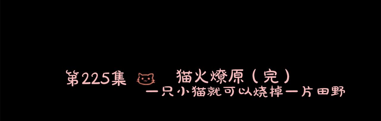 第225话 猫火燎原（完）13