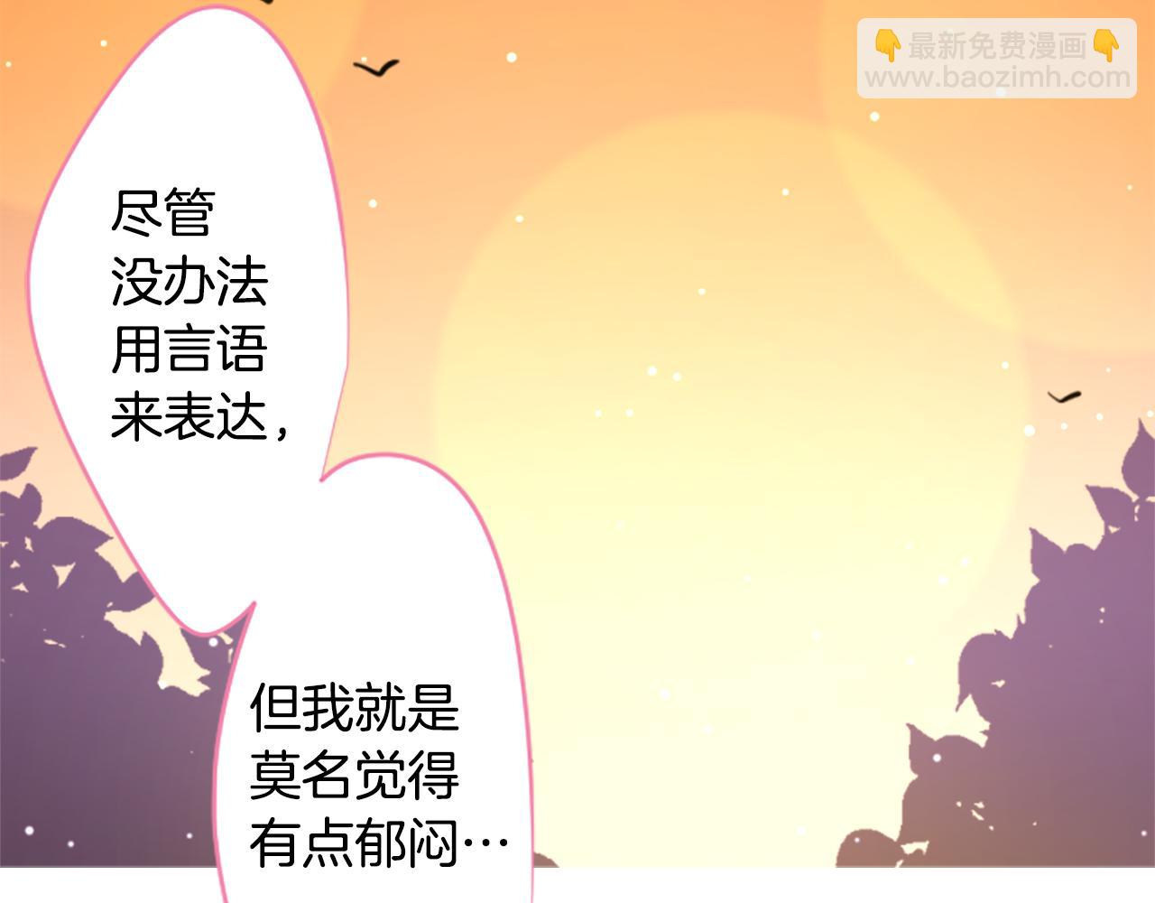 第231话 樱桃·开心果·小夜曲517
