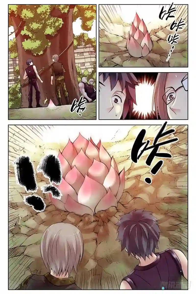 276.植物化3