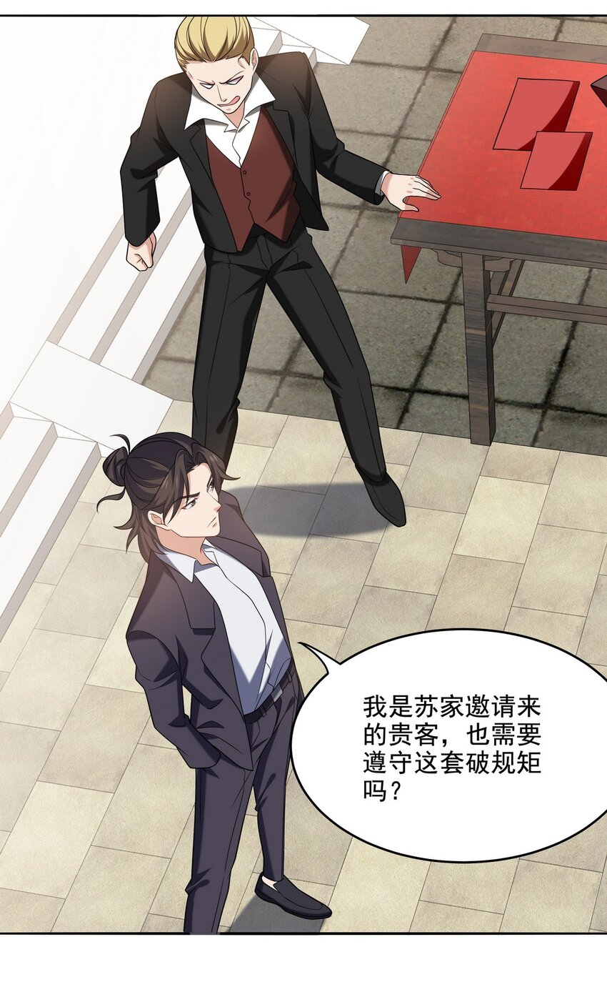 217 苏家的邀约13