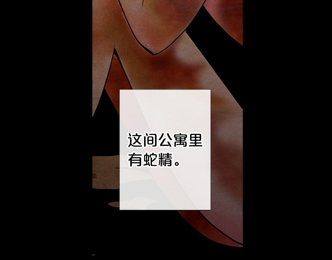 第30话 决一死战！205