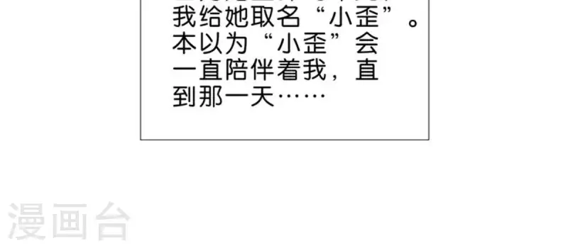 第33话 番外：单车之恋17