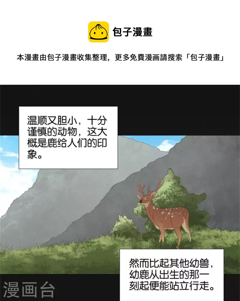 第81话 动物世界充满智慧0