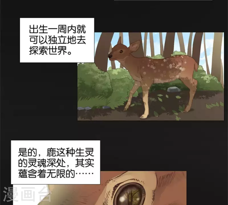 第81话 动物世界充满智慧1