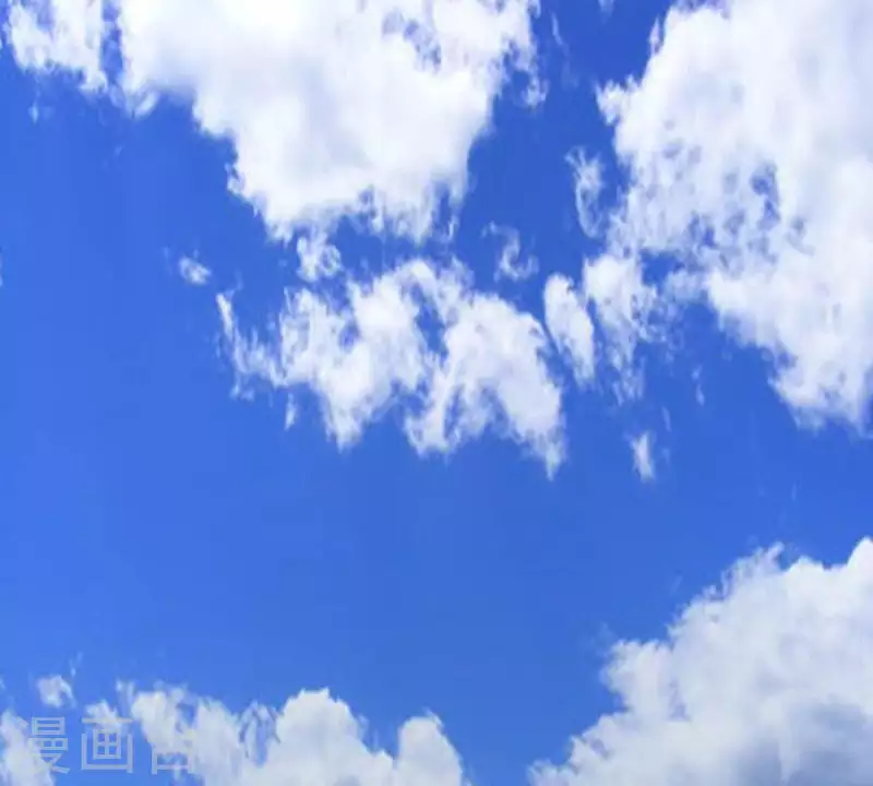 第311话 兵分两路15