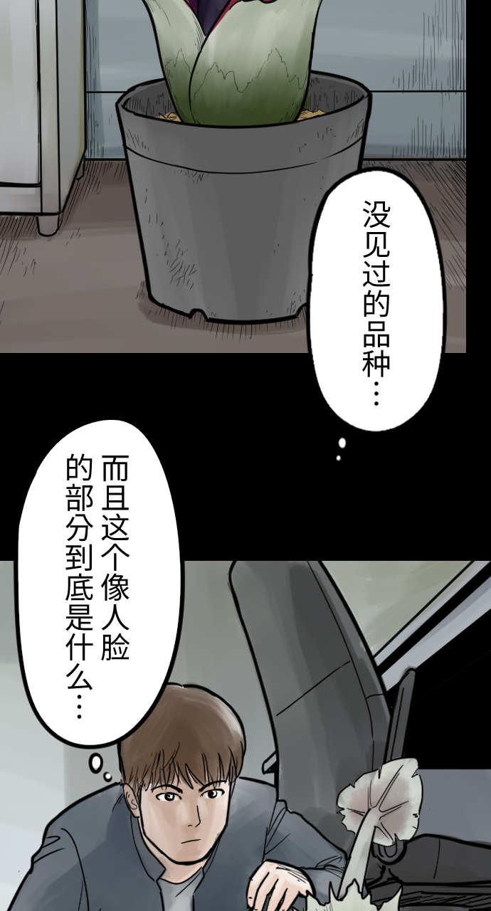 [第1话] 不可思议的花37