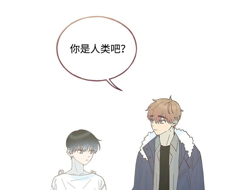 19 怦然心动44
