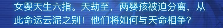 11月12月新作公告！7