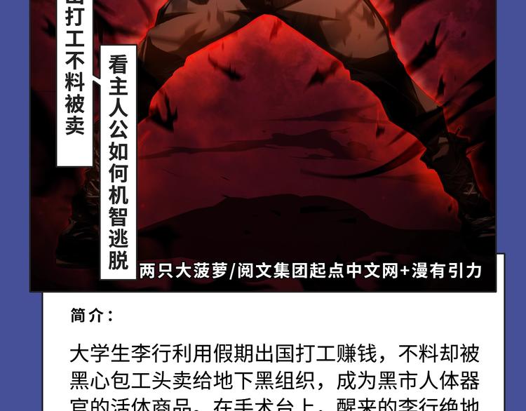 《东邻西厢》爆更至完结！19