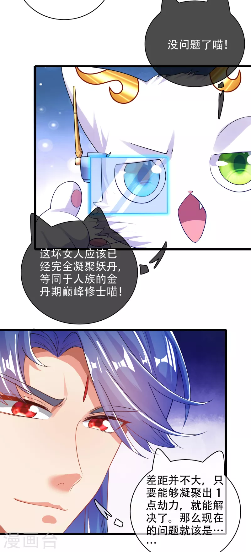 第114话 周周是有用的好猫猫24