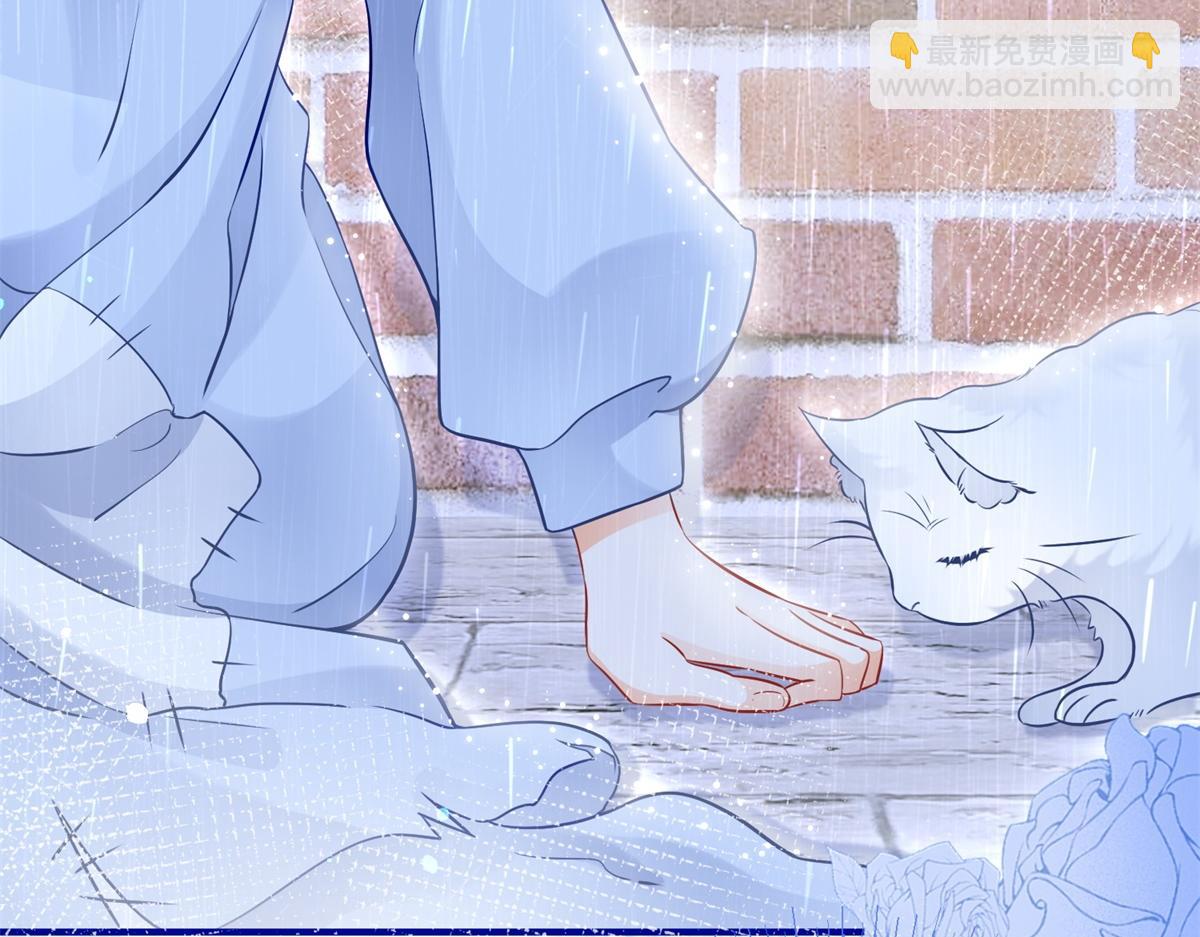 第6话 化猫为书28