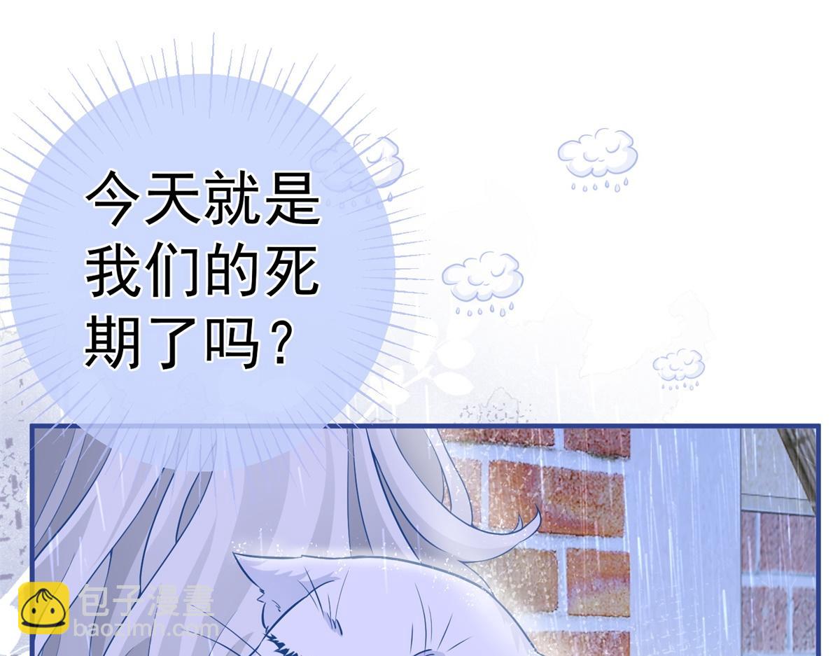 第6话 化猫为书31