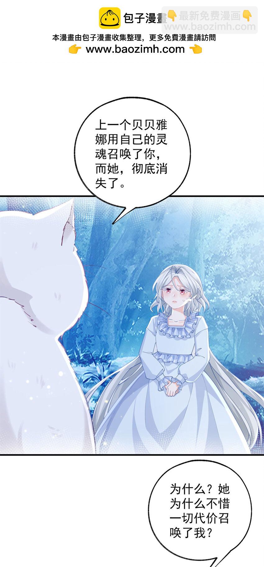 第207话 从猫到书到玩偶1