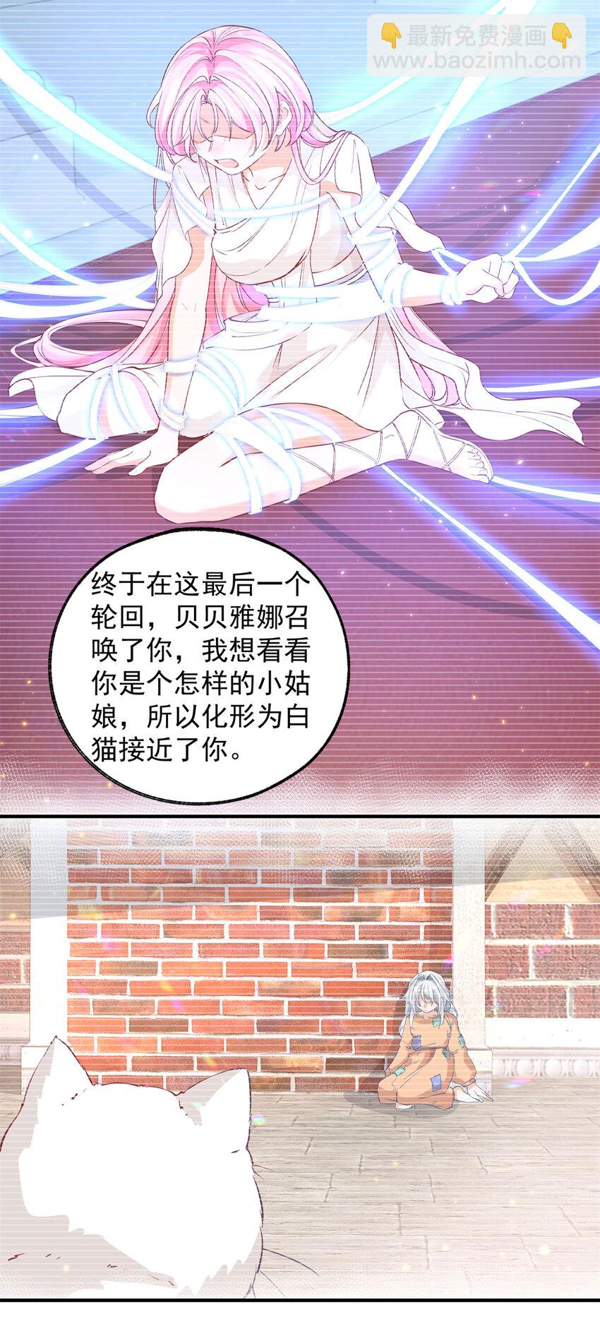 第207话 从猫到书到玩偶17