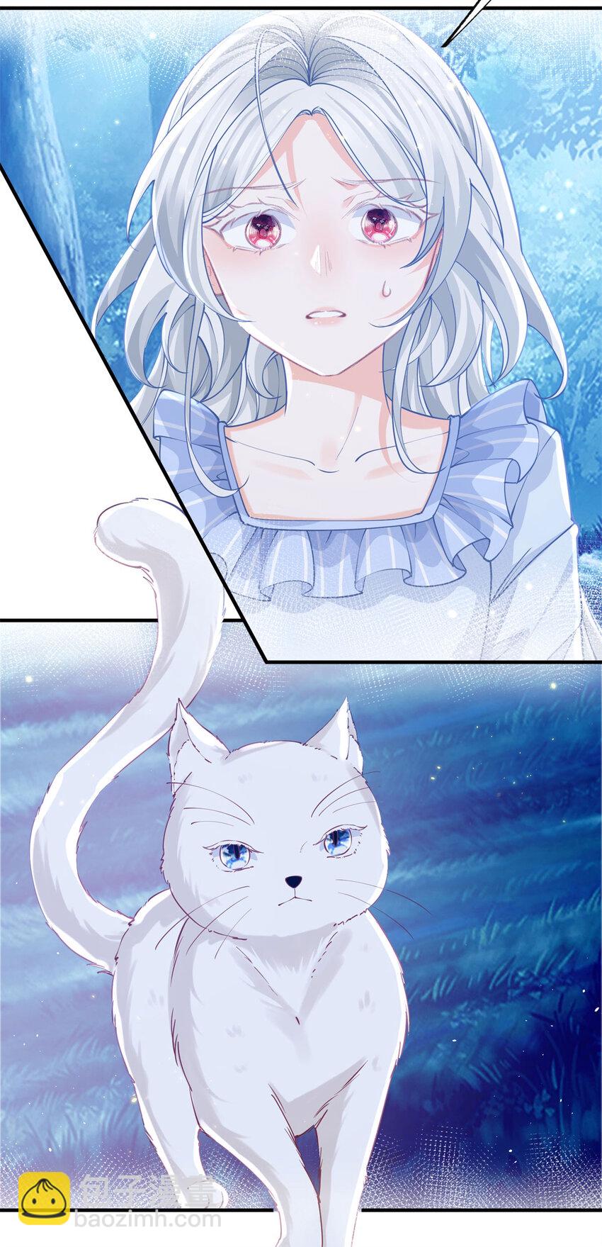 第207话 从猫到书到玩偶2