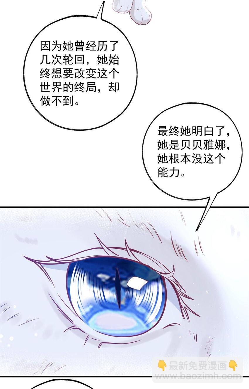 第207话 从猫到书到玩偶3