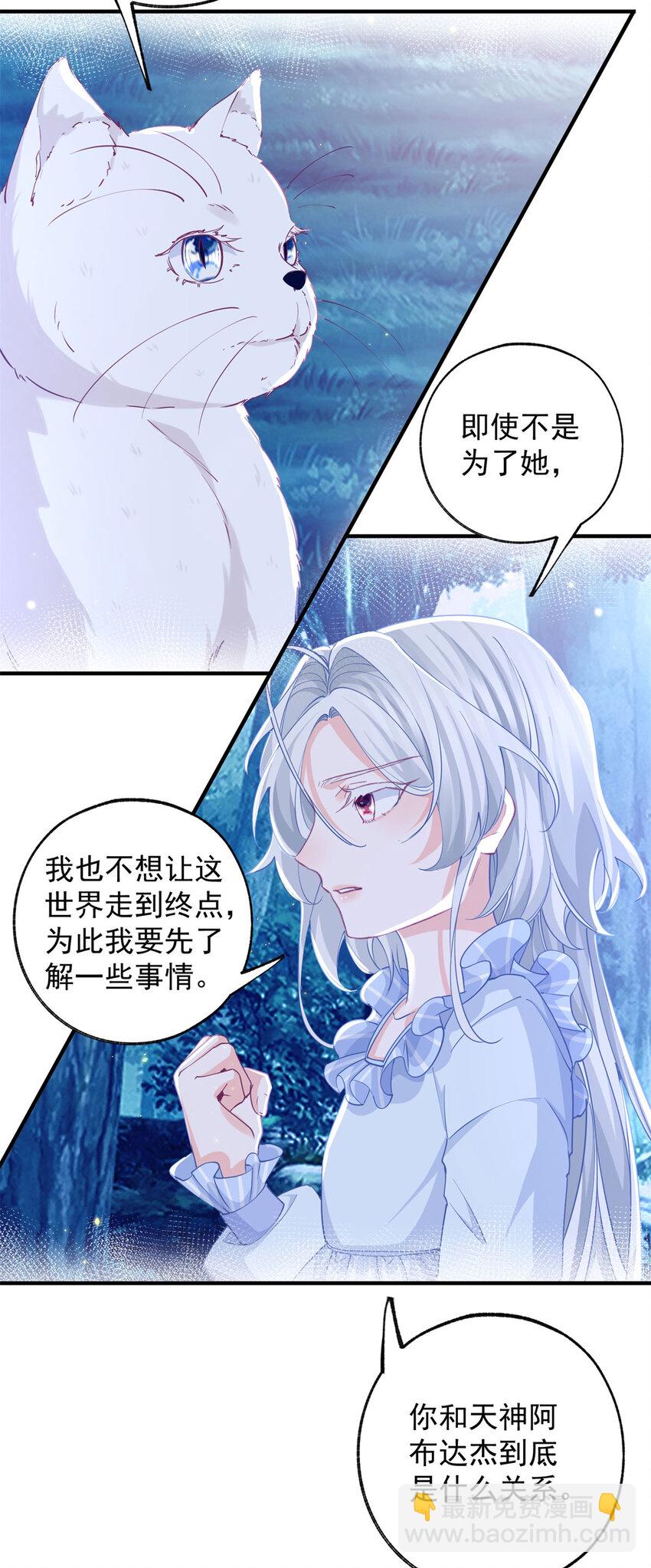 第207话 从猫到书到玩偶6