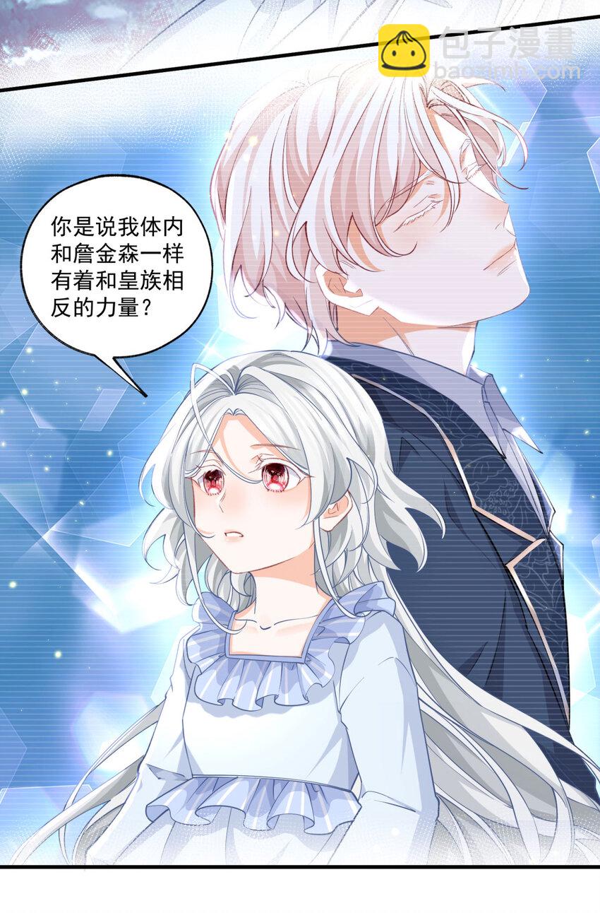 第208话 最后的计划7