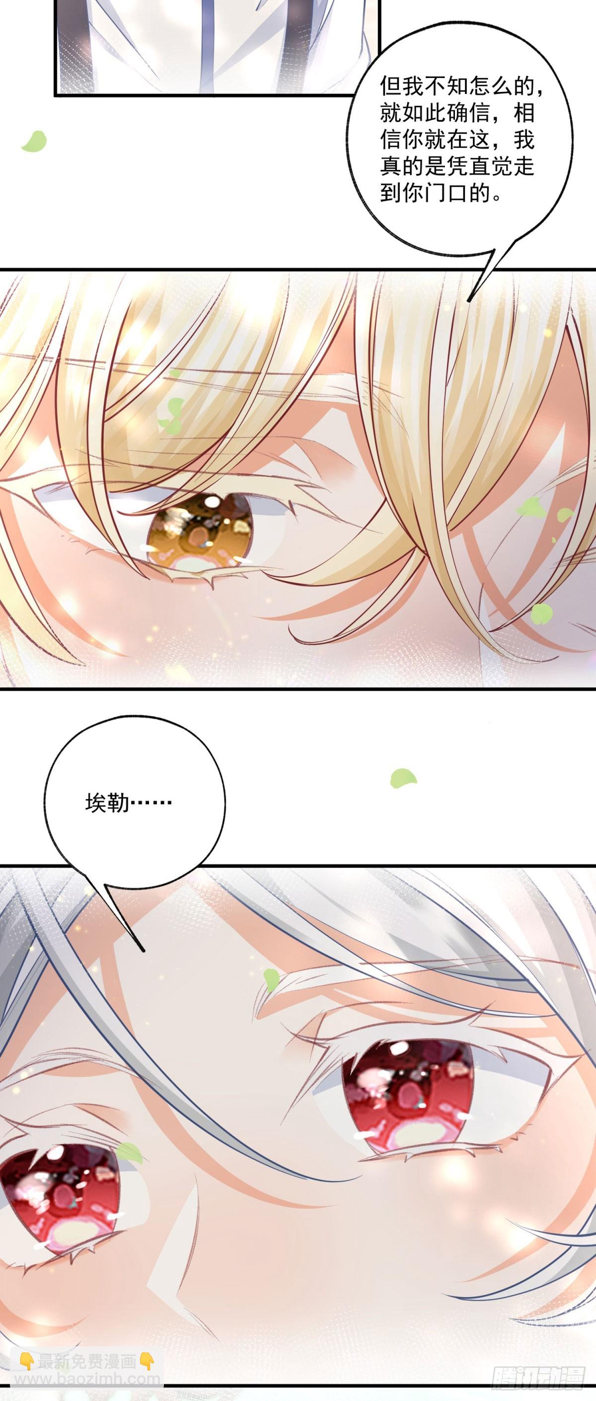 第236话 做你的骑士11