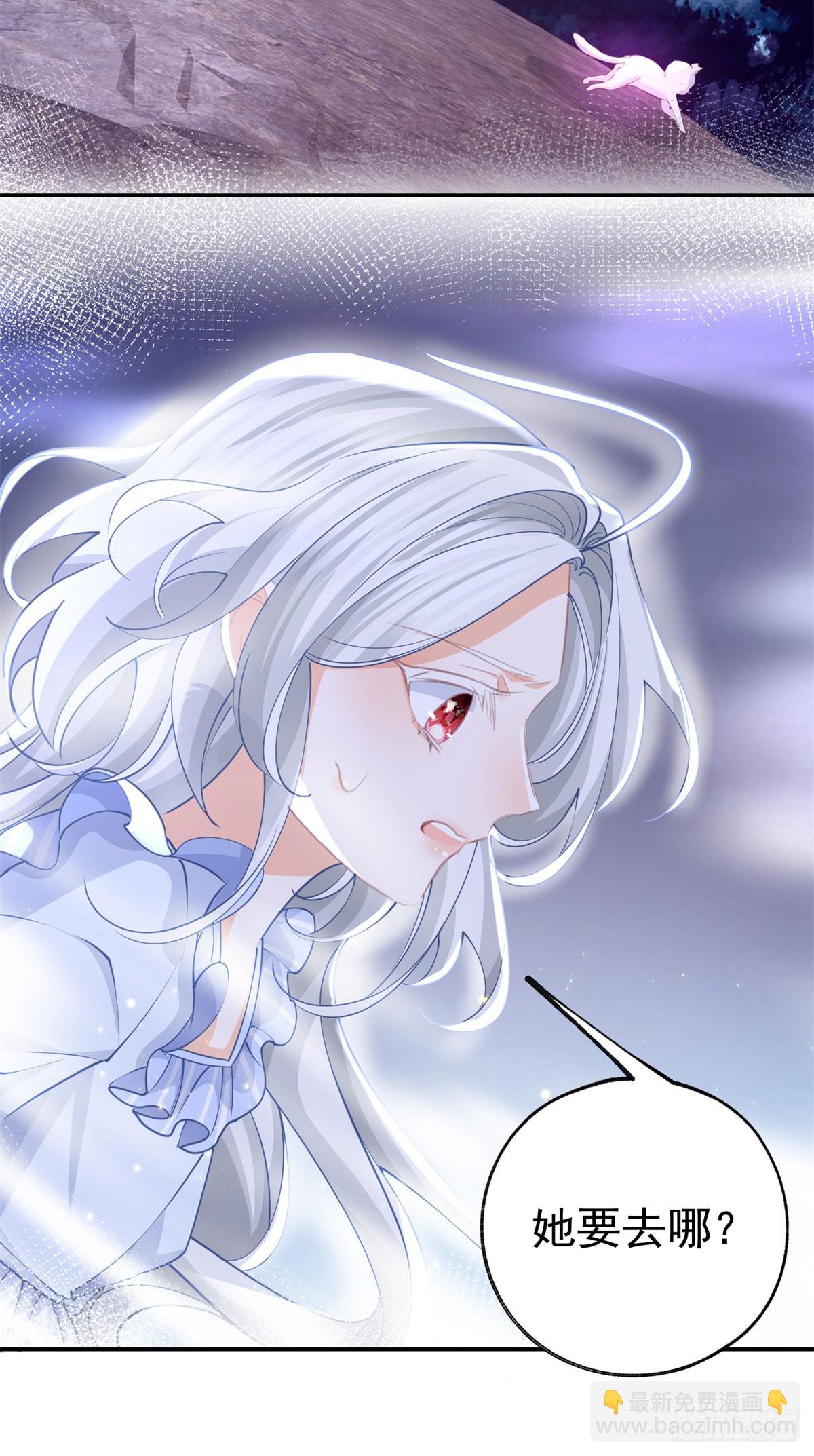 第262话 白猫的初登场15