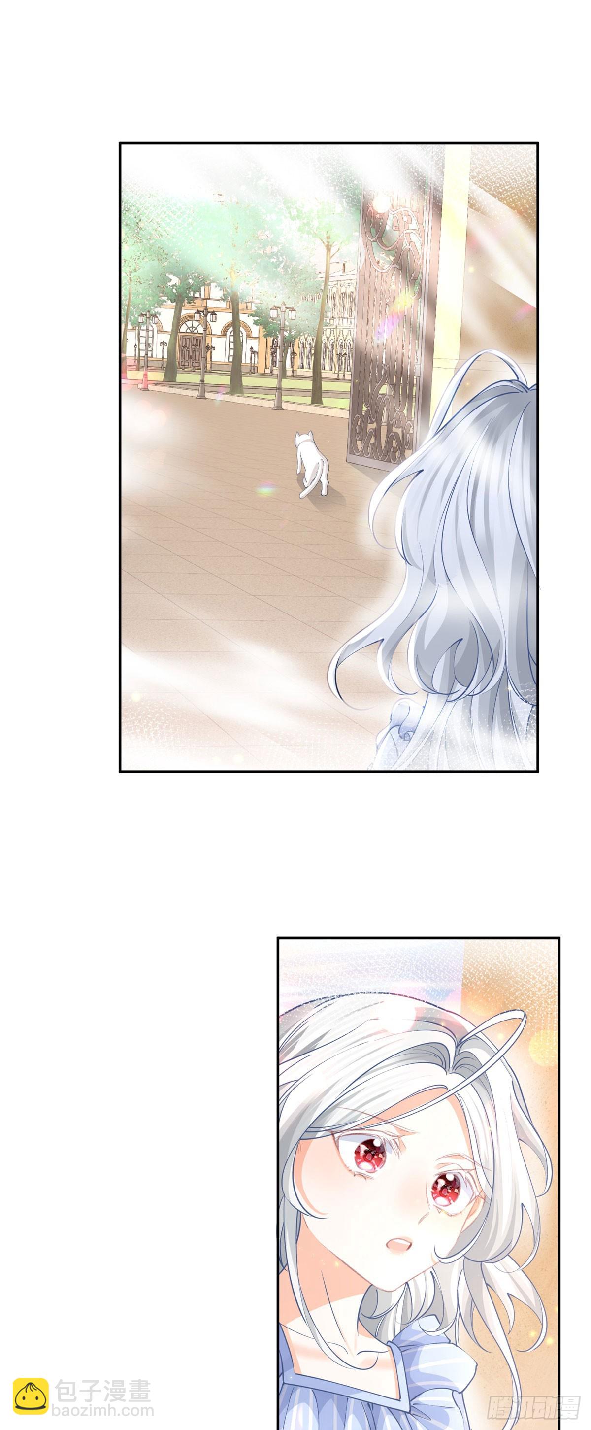 第262话 白猫的初登场16